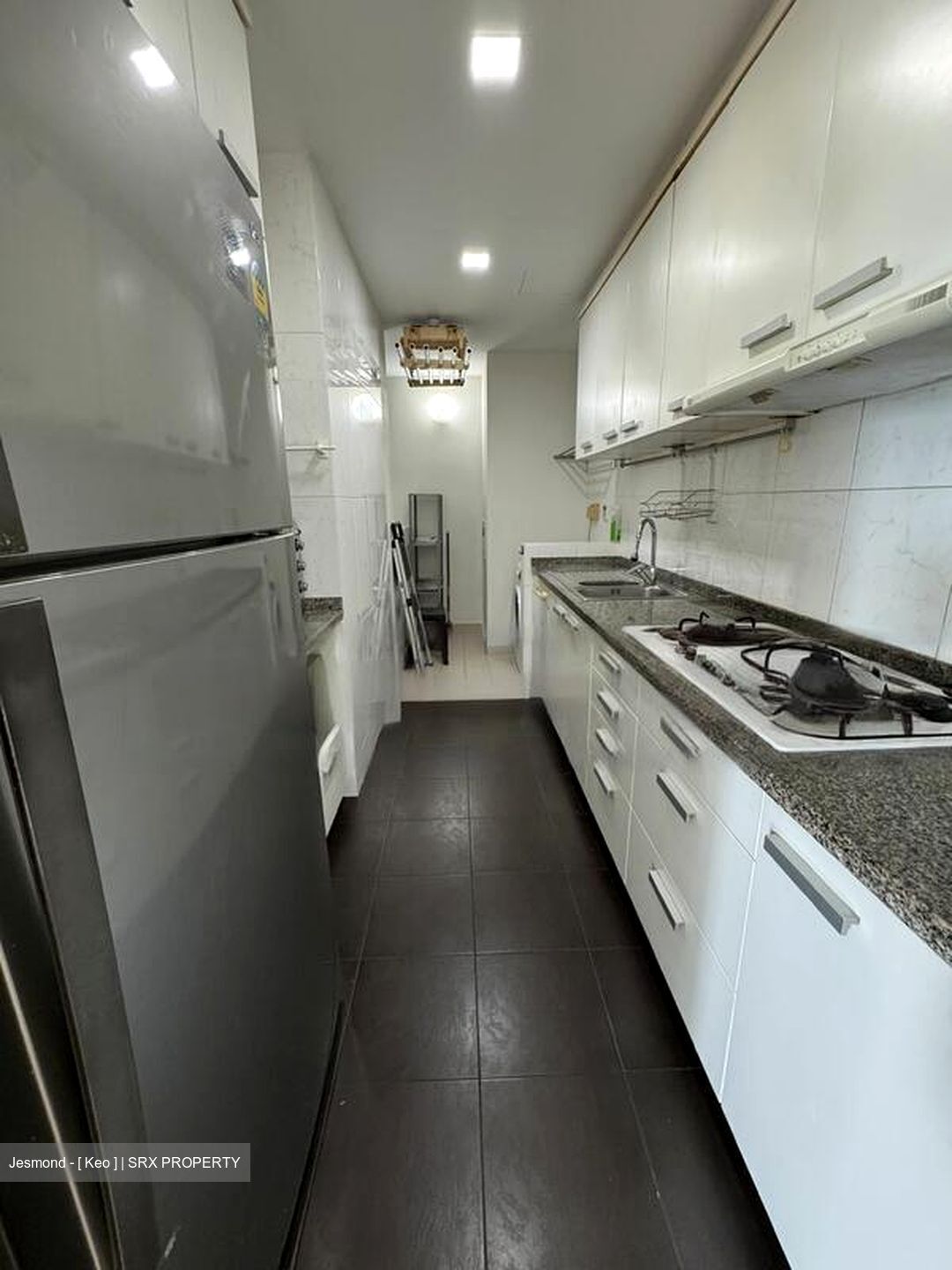 Amaryllis Ville (D11), Condominium #459132441